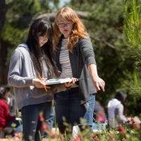 老师辅导学生做户外艺术项目